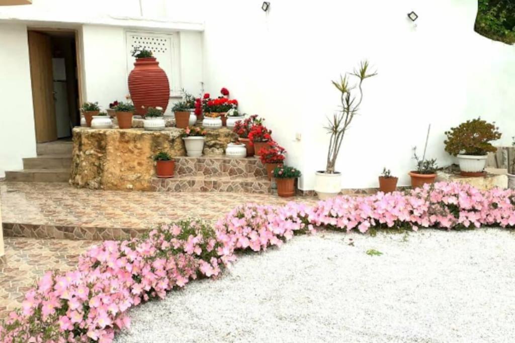 Newly Reconstructed Flat 107Sqm! Apartment Chania  Ngoại thất bức ảnh